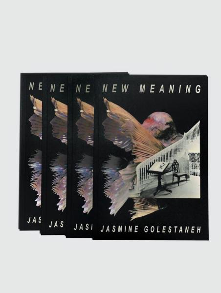 COLLAGE BOOK - 10 COLLAGES THAT CORRESPOND TO LYRICS OF TEMPERS ALBUM "NEW MEANING". A 64 PAGE BOOK PUBLISHED BY OLD HABITS PUBLISHING.  : NEW MEANING SERIES : Jasmine Golestaneh