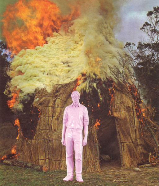 : COLLAGES : Jasmine Golestaneh